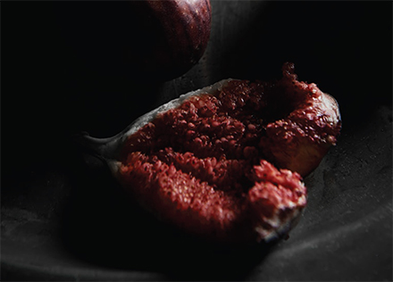 Read the 380 Melbourne brochure